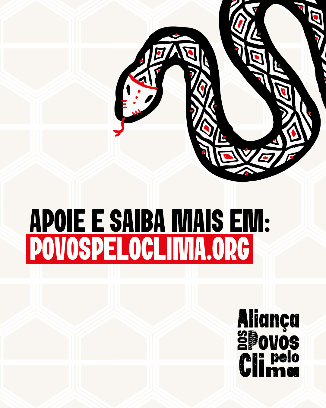 AGENTECOBRA_CARR-01-5