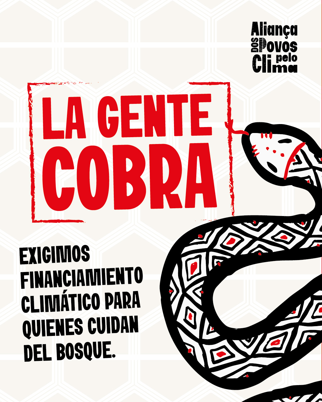 AGENTECOBRA_ESPANHOL-24