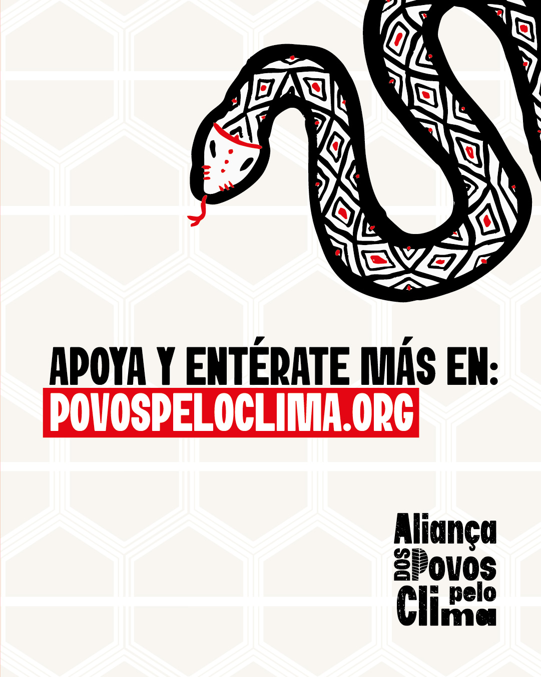 AGENTECOBRA_ESPANHOL-28