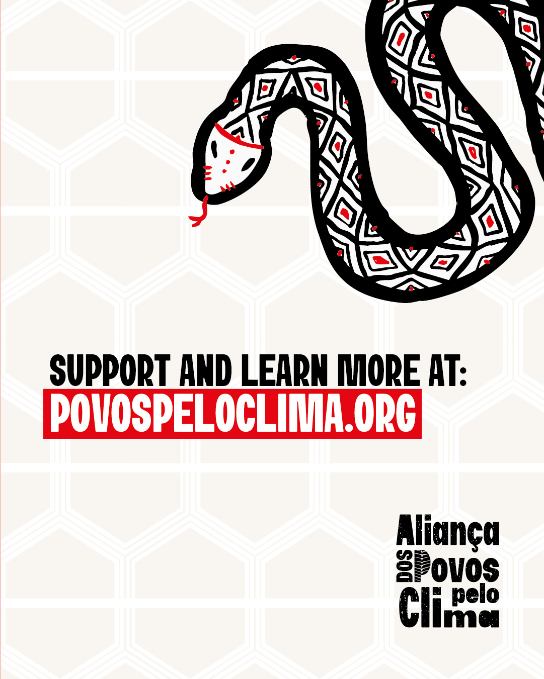 AGENTECOBRA_INGLES--05