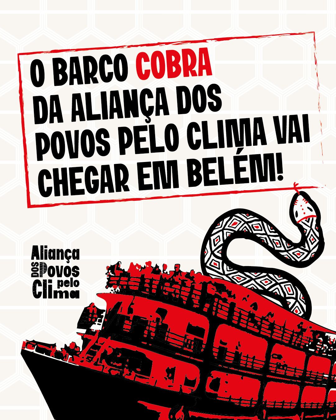 AGENTECOBRA_BARCO-39