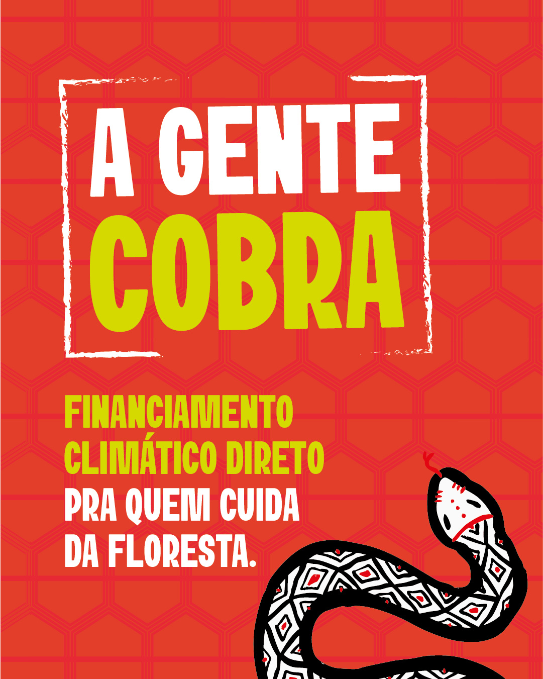 AGENTECOBRA_BARCO-42