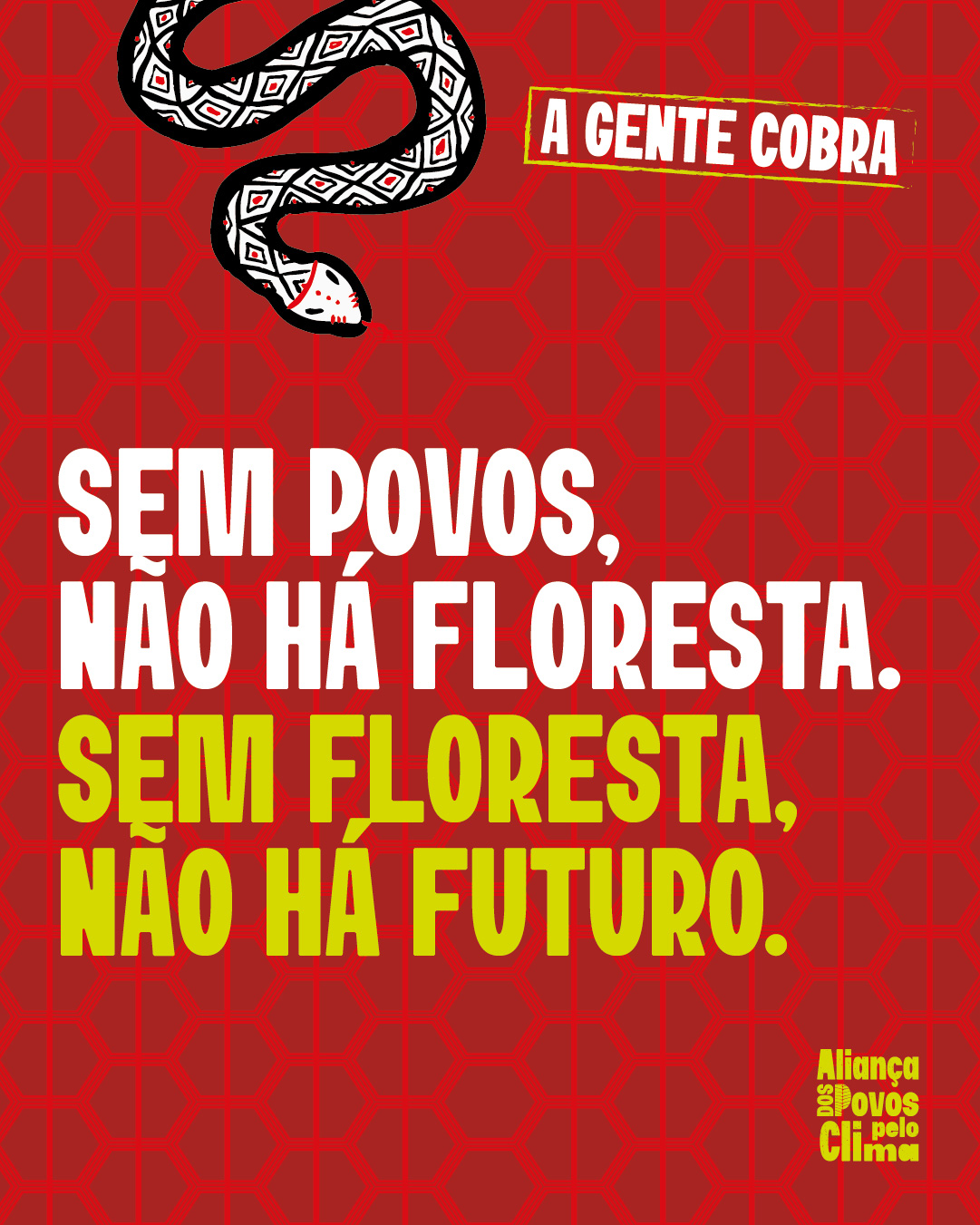 AGENTECOBRA_frase-30
