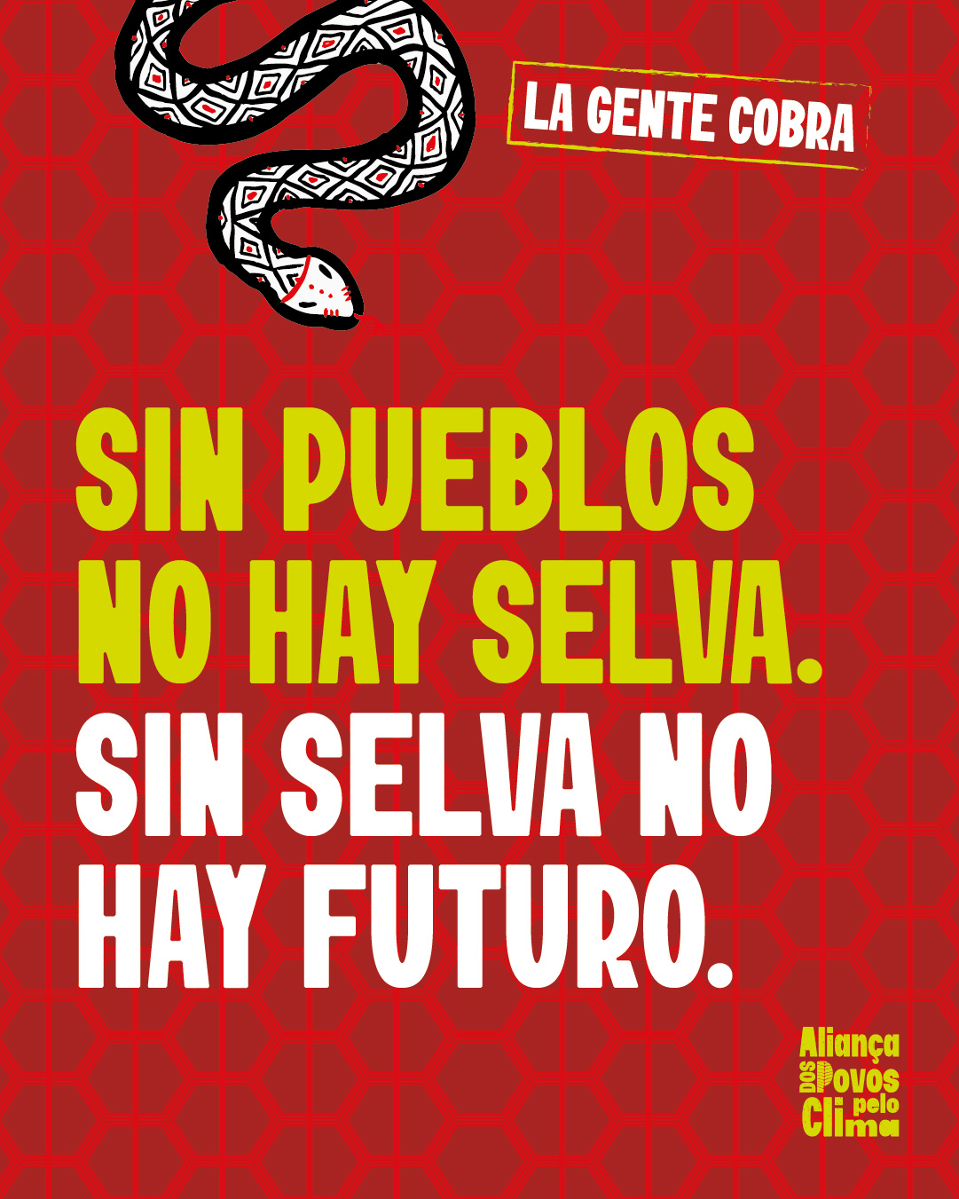 ESPANHOL-AGENTECOBRA_frase-30