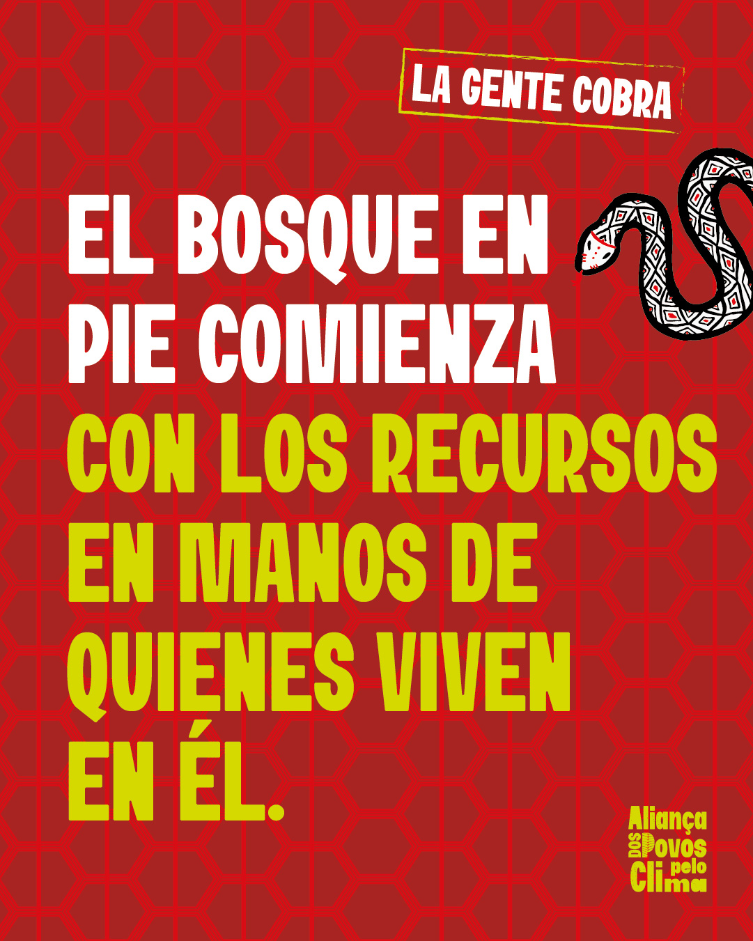 ESPANHOL-AGENTECOBRA_frase-35